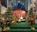 Feast of Christmas Throughout the Province