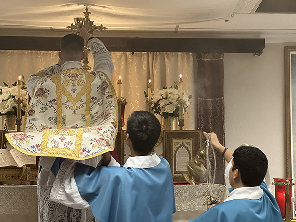 AllSaints 2025 3 600